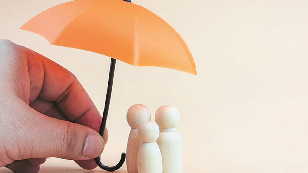 Insurance Samadhan Mint Coverage